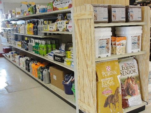 Horse End Cap Display